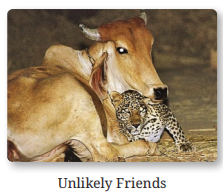 THE UNLIKELY BEST FRIENDS7 - SCHOOL STUFFS 36GARH