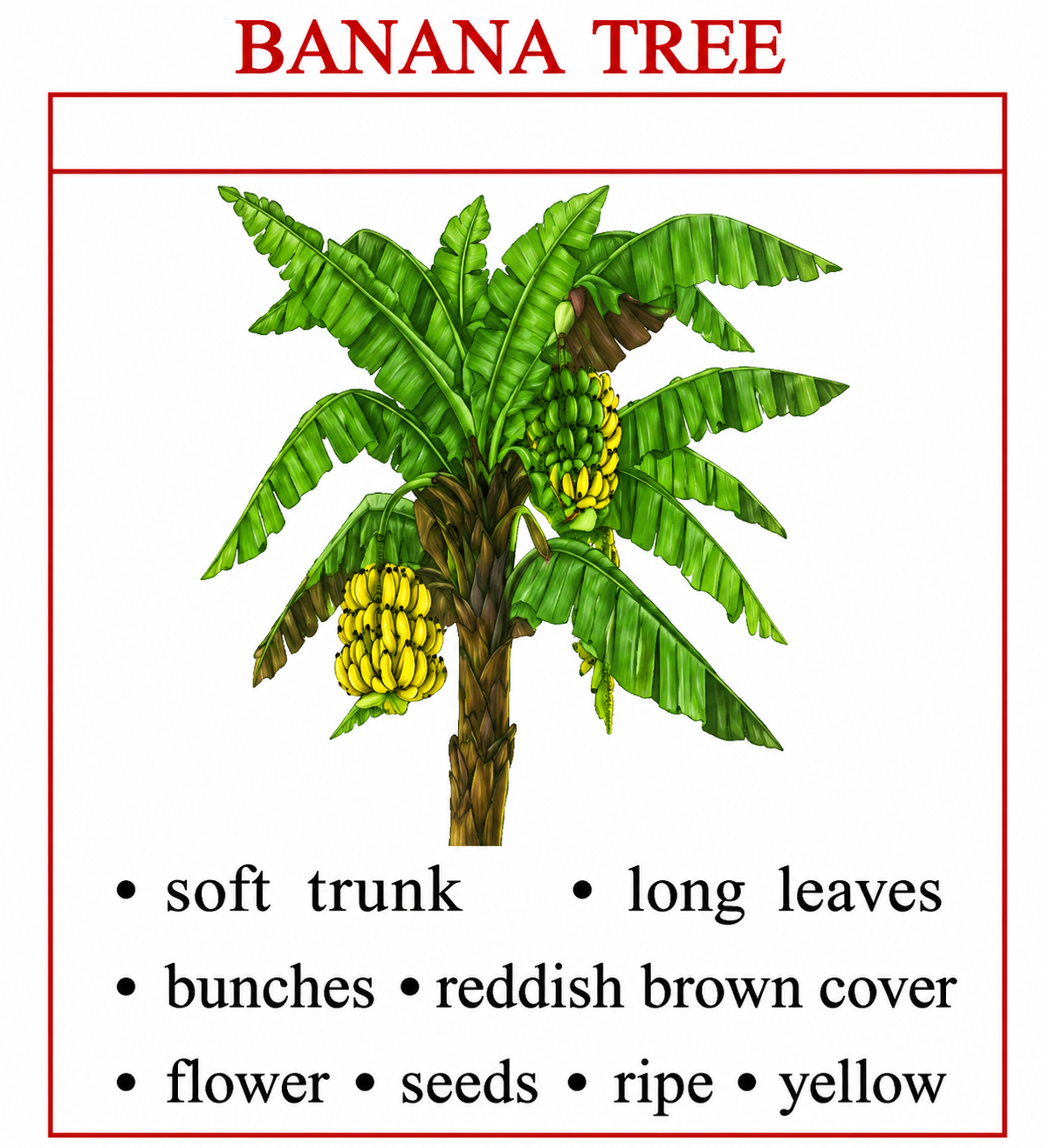 Banana Tree Example