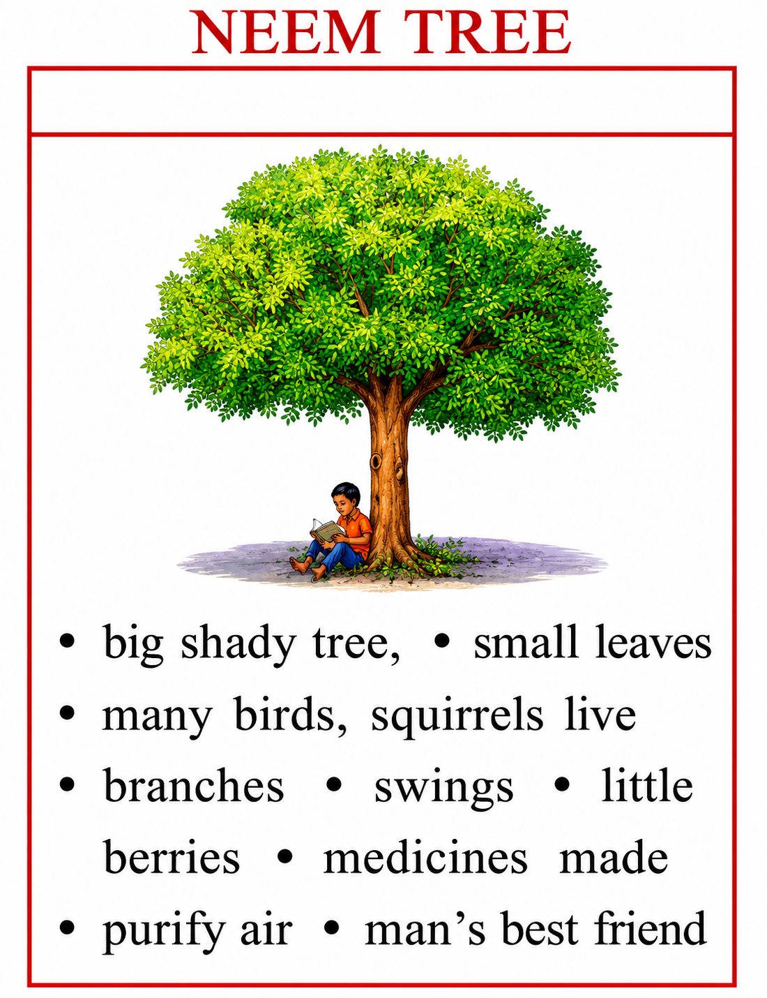 Neem Tree Activity